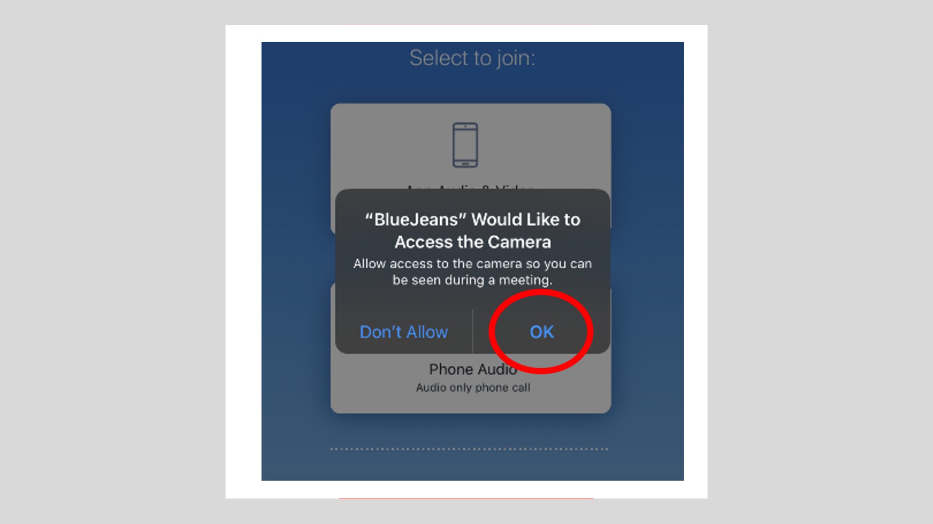 Image of the permission for camera access button
